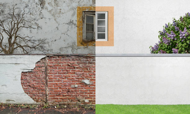 Best Mold Documentation for Insurance Claims  in Glenn Dale, MD